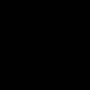 Meet your Posher, Martha